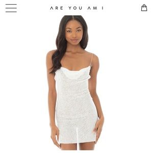 You Are Am I NIQUE ZEBRA DRESS